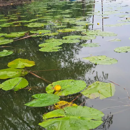 Cicha Przystan Apartman