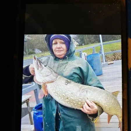 Cicha Przystan Nowy Dwór Gdański