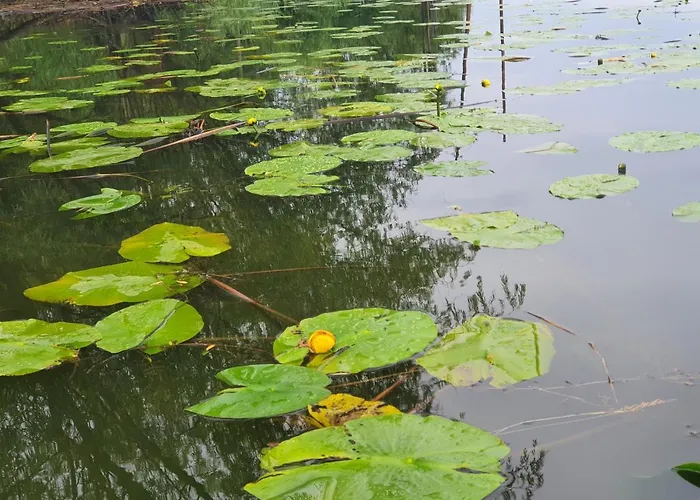 Cicha Przystan Apartman