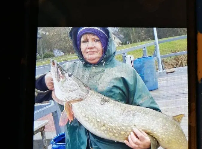 Cicha Przystan Nowy Dwór Gdański